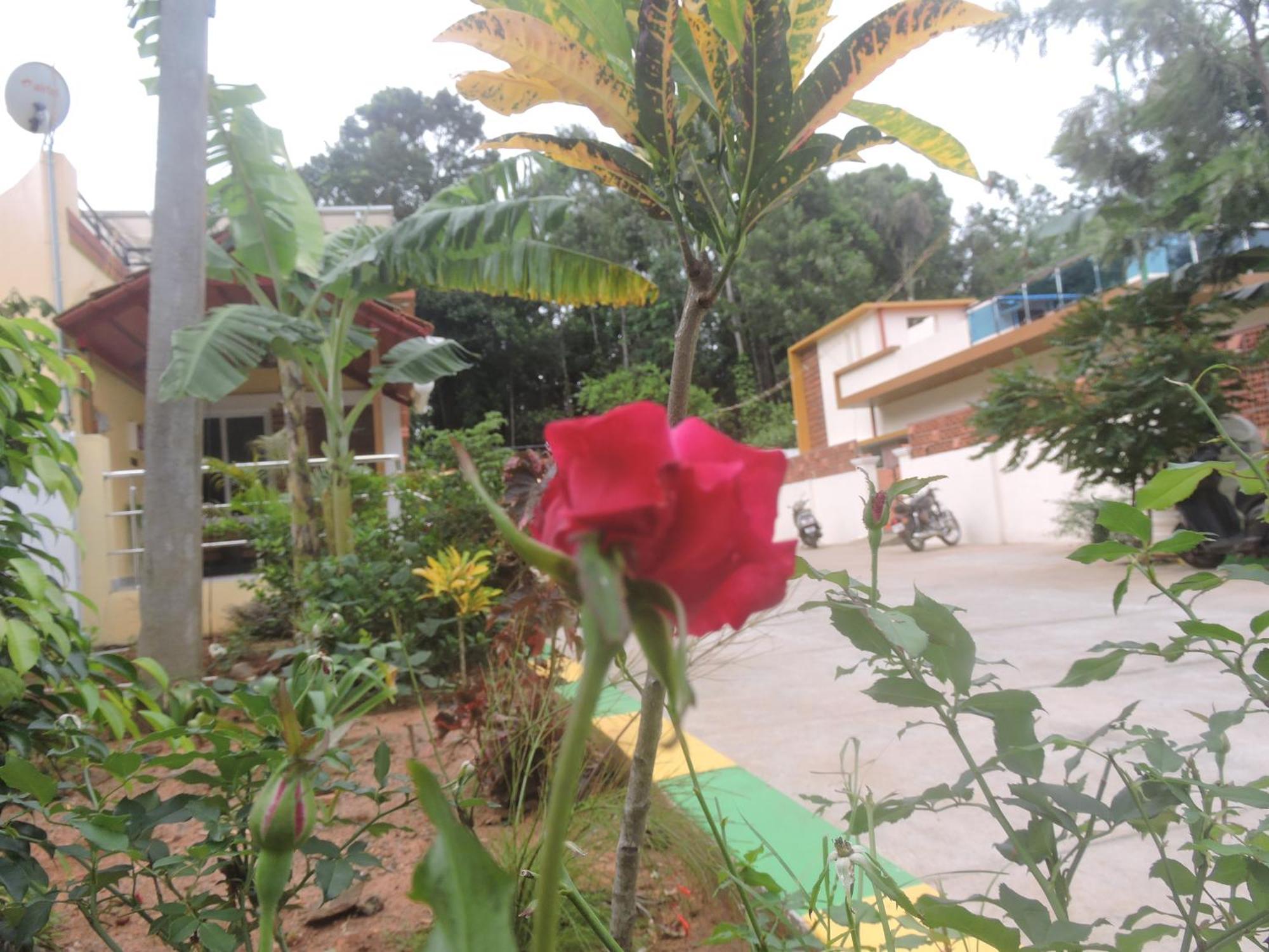Kanna Garden By Bodhi Bungalows Kolli Hills Ngoại thất bức ảnh